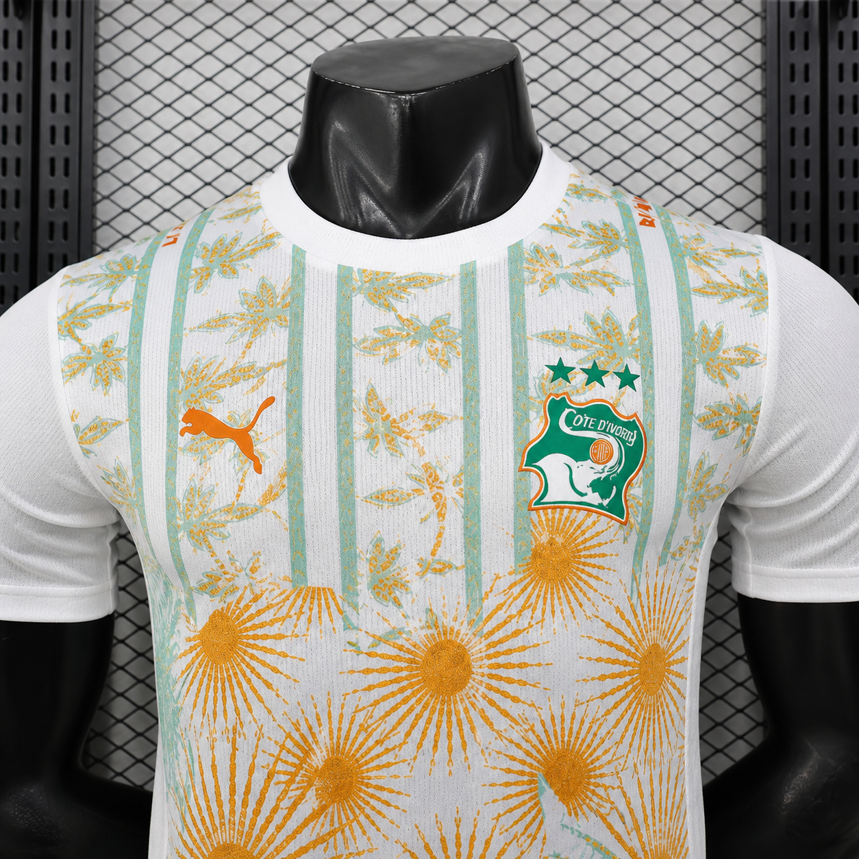 2026 Cote d'lvoire Special Edition Jersey