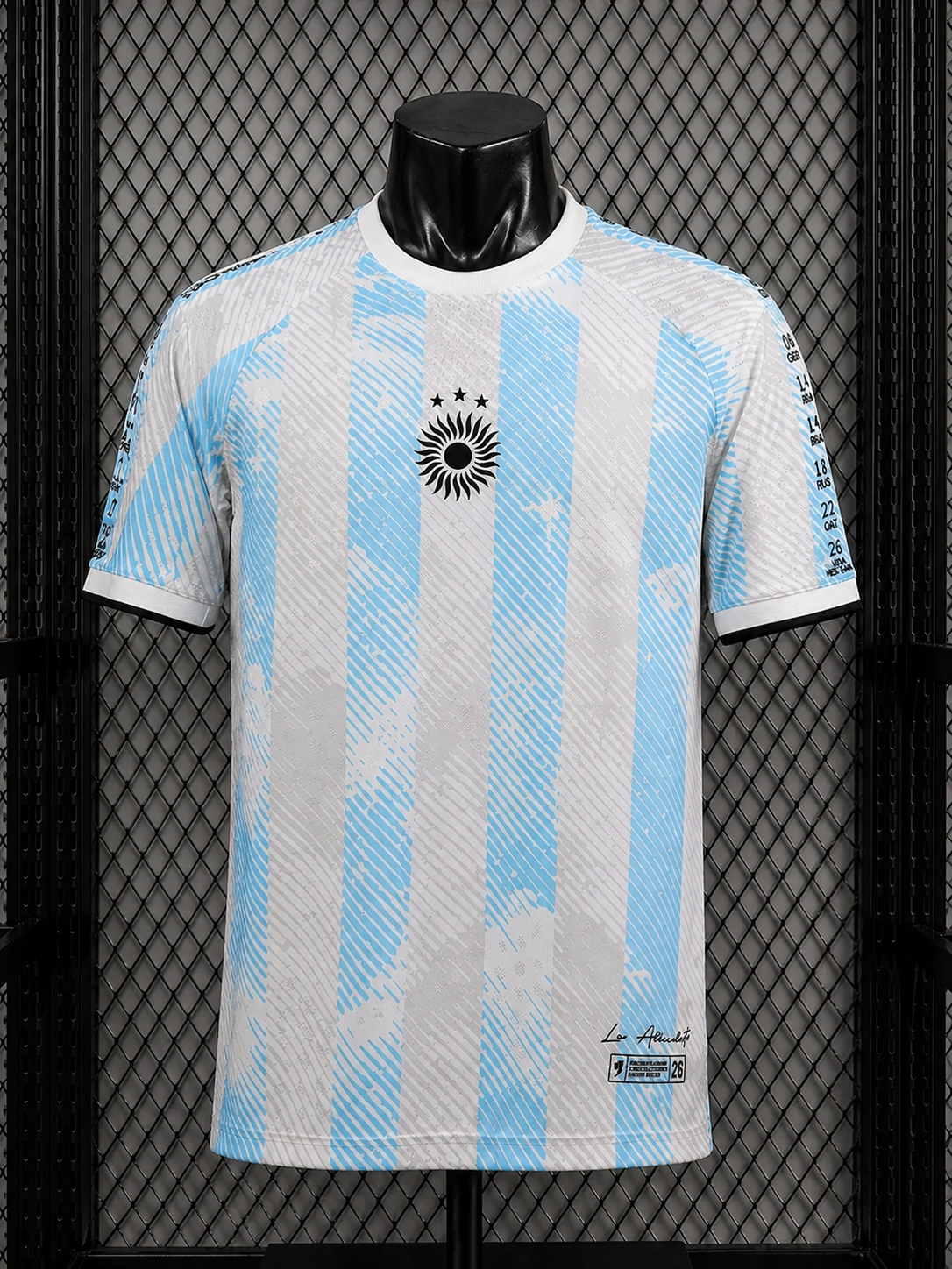 2026/27 Argentina Stitched History Special Edition Jersey